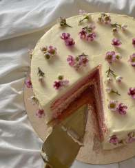 Geburtstagskuchen ganze torte