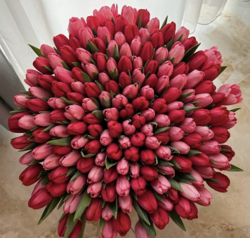 XL Tulpenstrauß 