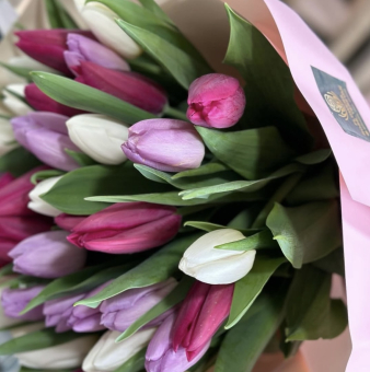 Bouquet di Tulipani M bianco/rosa
