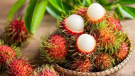 Rambutan 5