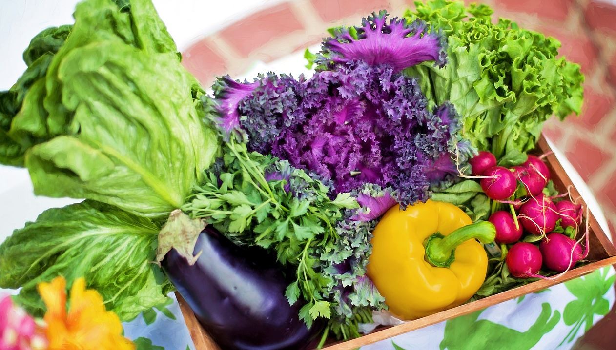 5AF_Theresa_Wallnöfer